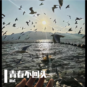 青春不回头
