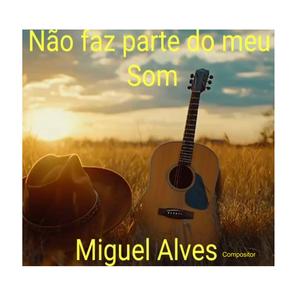 Não faz parte do meu som