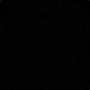 【FREE】失之不渝