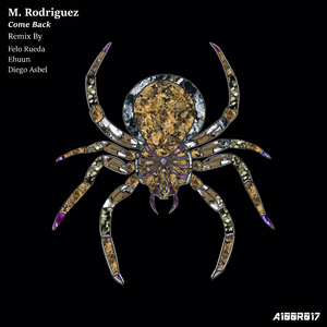 Come Back (Felo Rueda Remix)