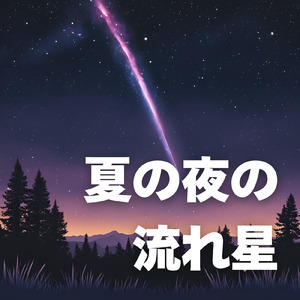 夏の夜の流れ星