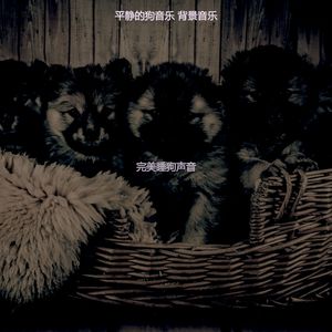 抚慰的小狗回忆