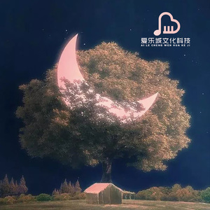 月光下的你（海浪助眠）