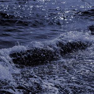 洋葱头头（测试）