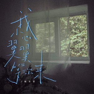 我小心翼翼等你来