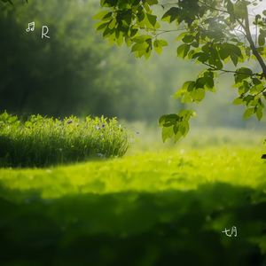 七月二十五日清晨的夏