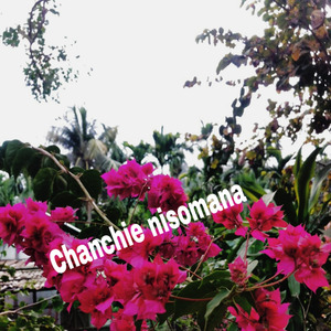 Chanchie nisomana ( Garo old song) Slow reverb