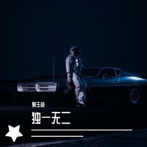 独一无二