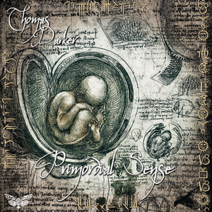 Primordial Sense (Original Mix)