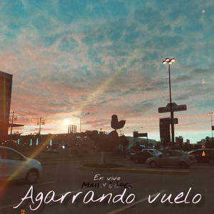 Agarrando vuelo (En Vivo) [Cover]