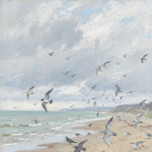 舒缓(治愈)轻音乐｜11