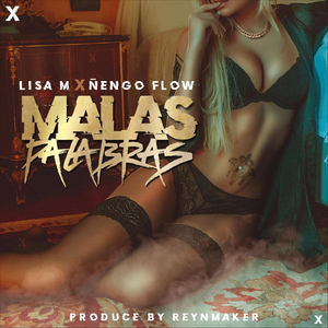 Malas Palabras (feat. Ñengo Flow)