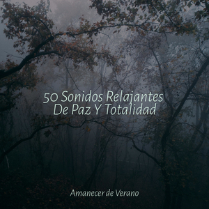 Canción Juguetona del Océano