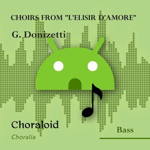 Choirs from "L'elisir d'amore": Atto I - Benedette queste carte - Elisir di sì perfetta (Emphasised voice and other voices)