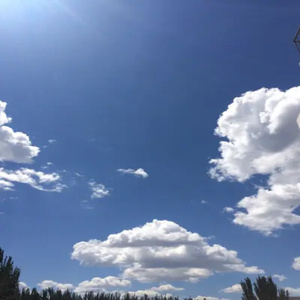 森林下雨声 (治愈纯音乐)