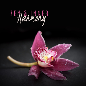 Meditation Awareness