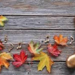 סתיו לוי כוכב גדול