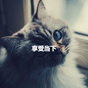 Terrific Dreampop Moods