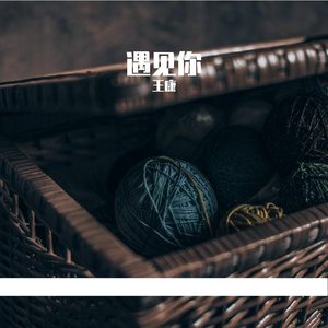 遇见你