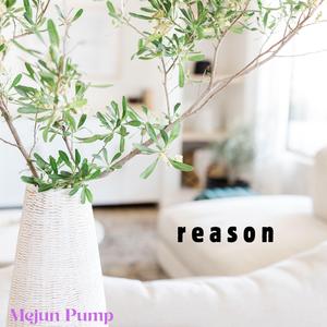 reason