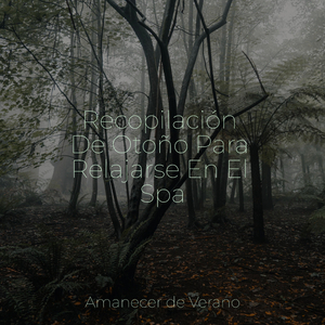 Navegando hacia Mares Felices