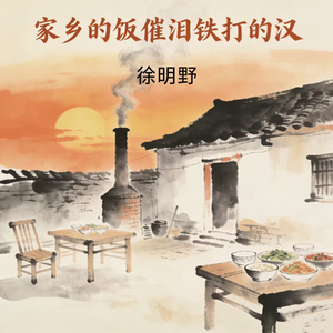 家乡的饭催泪铁打的汉