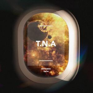 T.N.A