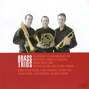 Three Fantasies for Brass: Molto largo