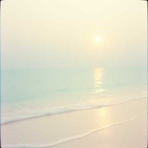 Drifting into Dreams