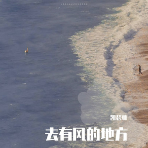 去有风的地方(cover 郁可唯)