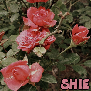 Shie