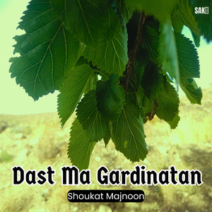 Dushman Nay Khalt