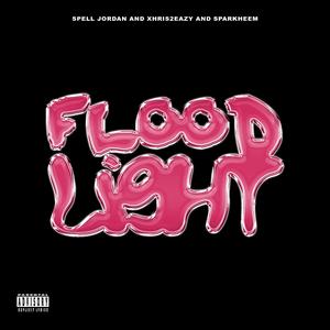 Flood Light (feat. Xhris2Eazy & Sparkheem)