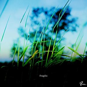 Fragilis