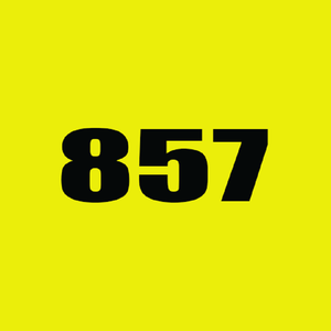 857（DJAshin remix）