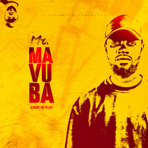 Mr. Mavuba