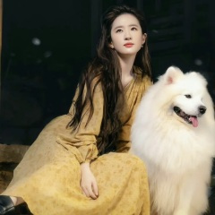 陪你牵手闯天涯