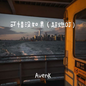 可惜没如果（超燃DJ）