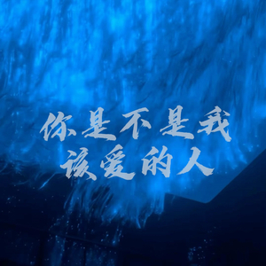 你是不是我该爱的人