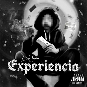 Experiencia