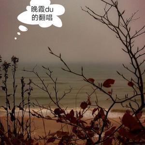 爱如潮水remix(翻唱)