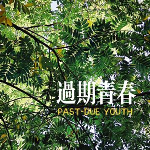 过期青春