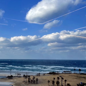 슬프지만 붙잡지 않는