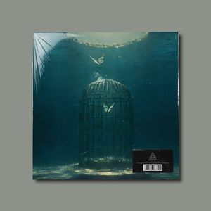 笼（Trap/Phonk Type Beat）