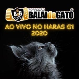 Sábado