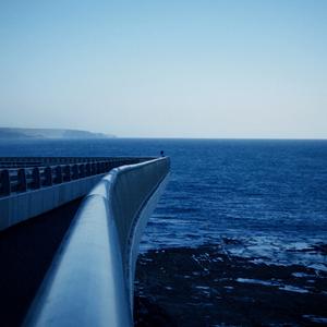 那些没能把我淹没的浪