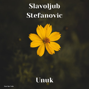 Devojka koju sam voleo - Rodjendanska verzija