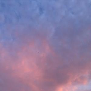 SunsetSunrise（Cover：snow）