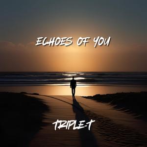 Quantum Entanglement