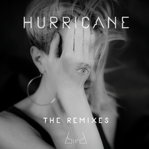 Hurricane [Hoxton Whores Dub Mix]